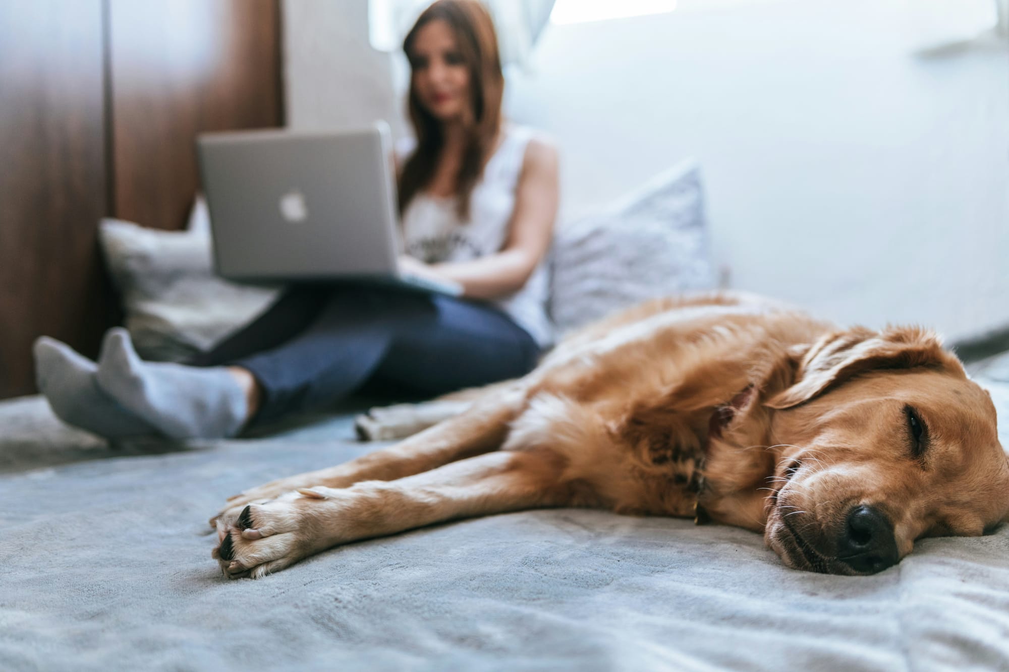 Student learning at her computer with her dog beside her with "Become a Pro Dog Trainer" online course