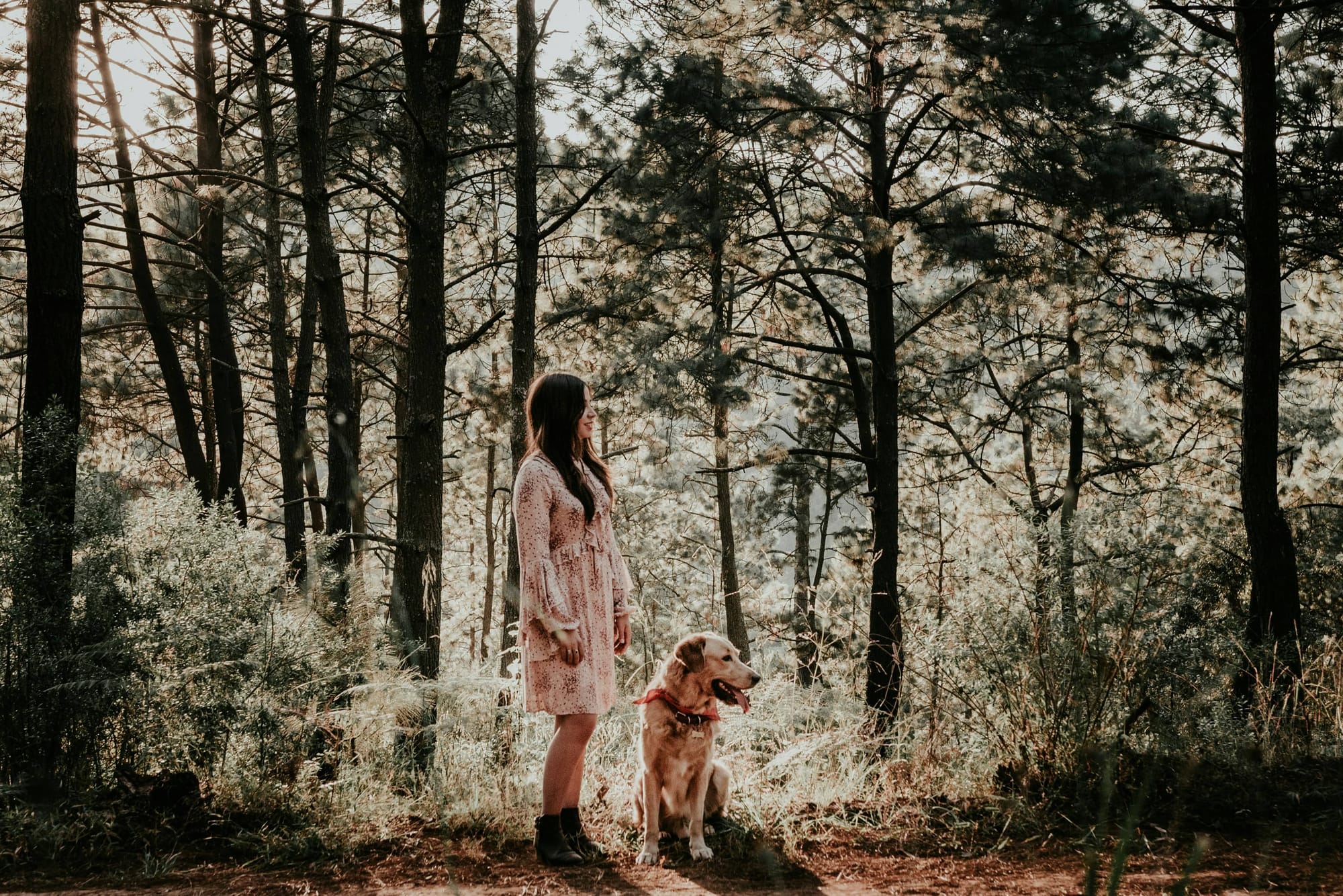 A woman with long dark hair wearing a midi dress and boots stands with her leashed yellow Labrador retriever while they look off-camera in a beautiful wooded setting.   